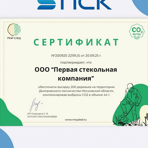 Команда ПСК приняла участие в экологической акции «День в лесу»